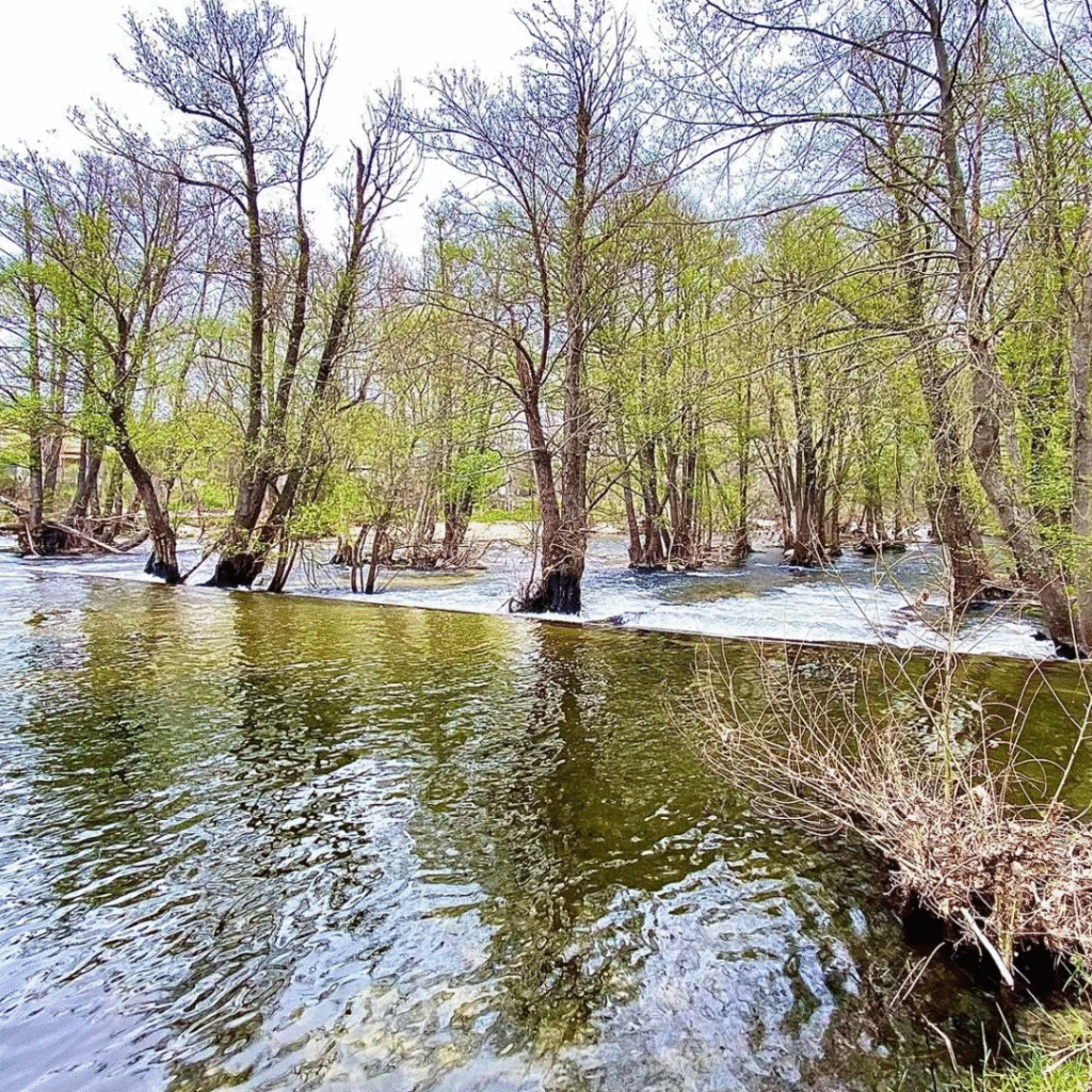 Rutas en Navaluenga 2026