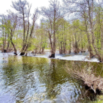 Rutas en Navaluenga 2026