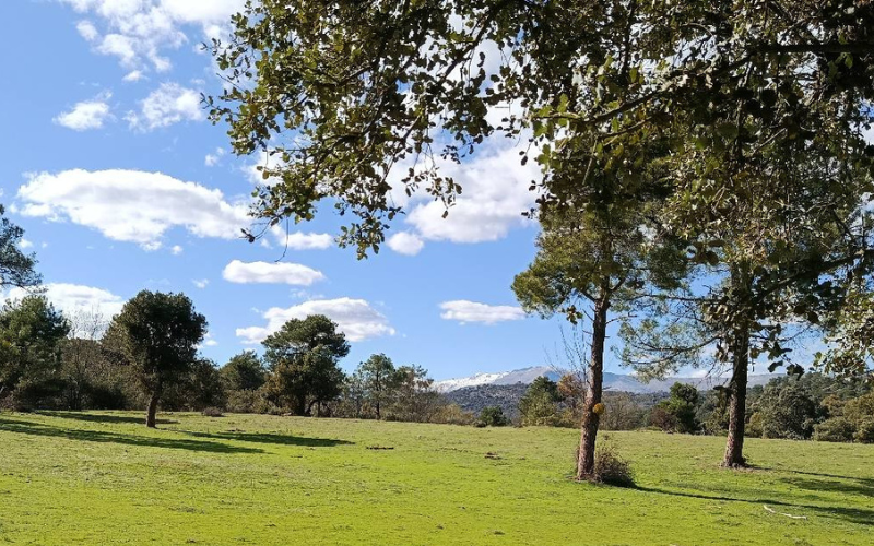 Camino de Piedralaves en Navaluenga